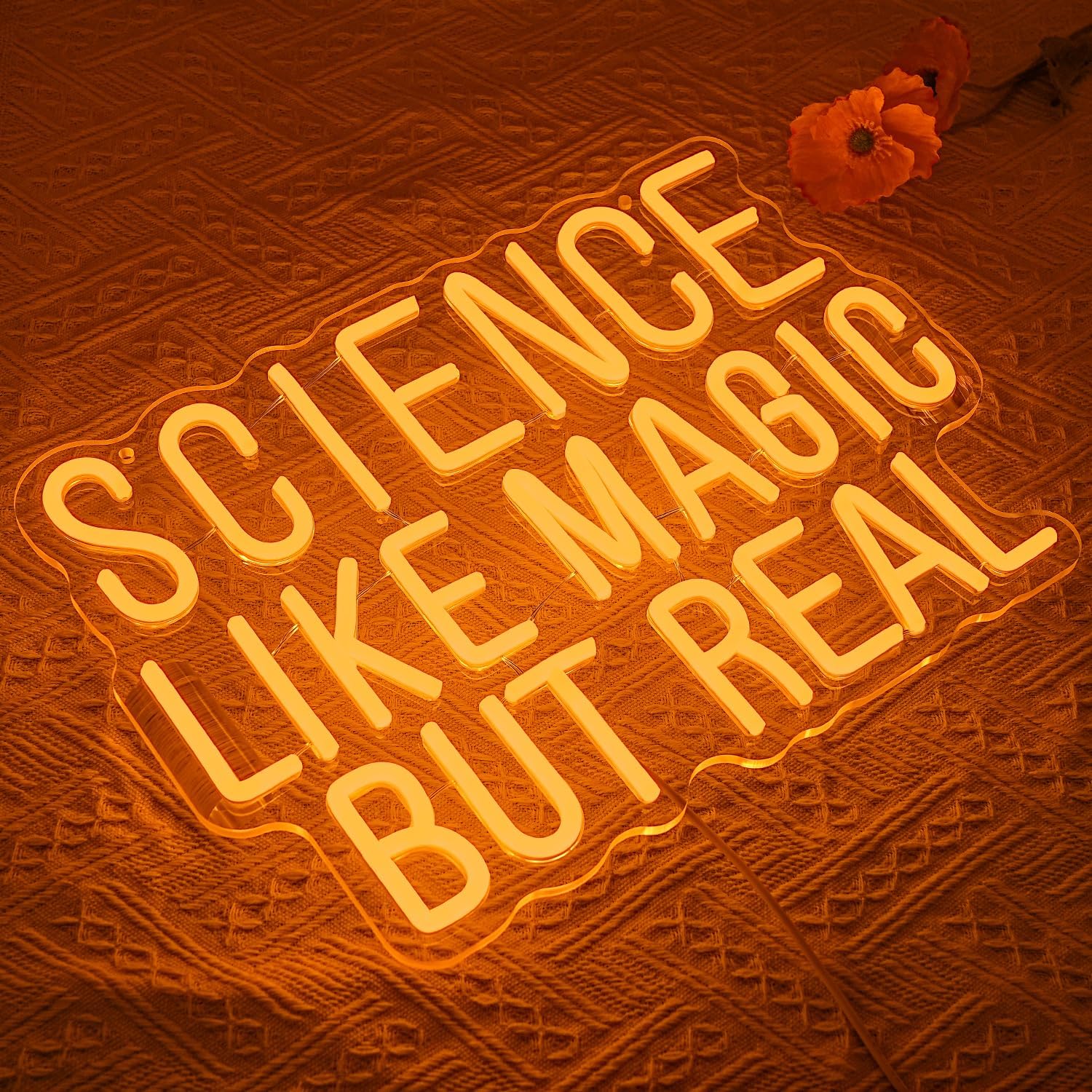 Science Like Magic But Real Ne - Science Hobbyist recension och pris