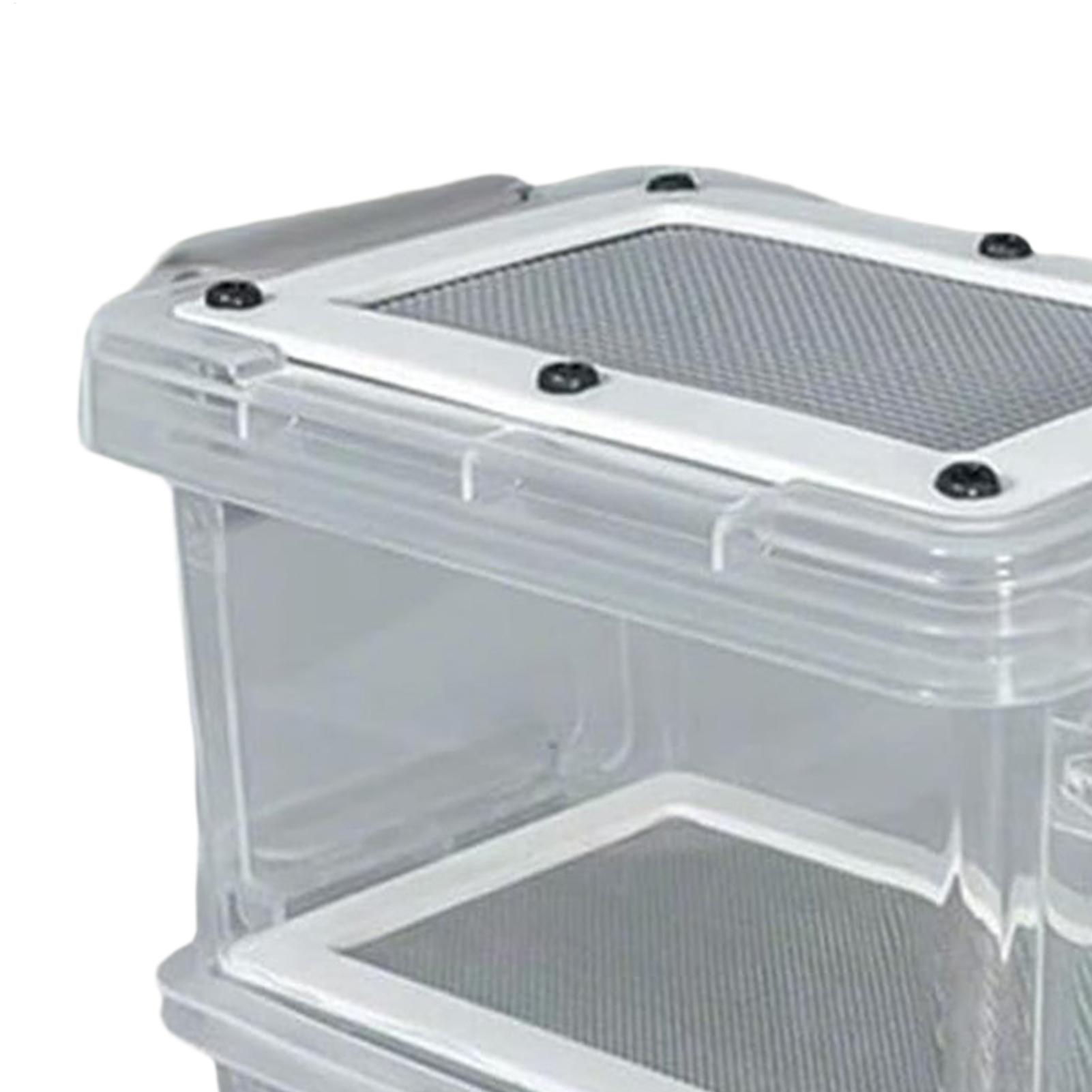 Mealworm Breeding Kit 3-Layer  - Science Hobbyist recension och pris